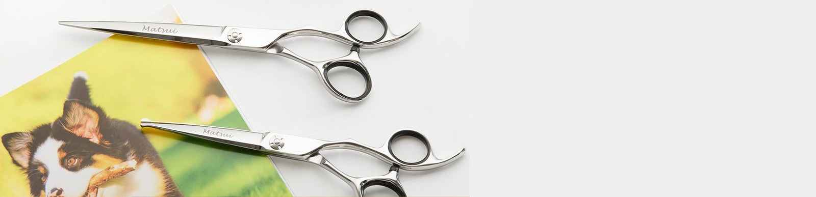 Professional Dog Grooming Scissors