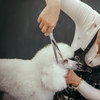 Sozu Flo Curved Dog Grooming Scissor Silver (6553189285922)