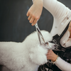 Matsui Curved Dog Grooming Scissor (3534877884521)