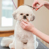 Matsui Dog Grooming Scissor, Curved &amp; Thinner Triple Set (3534878277737)